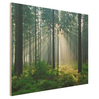 Enlightened Forest Wood Print (30 x 40cm)