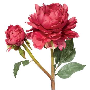 Faux Full Blown Peony Stem - Carmine Red (Height 54cm)