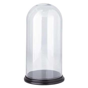 ÉGLANTINE Glass Bell Jar and Black Base (H42 x W22 x D22cm)
