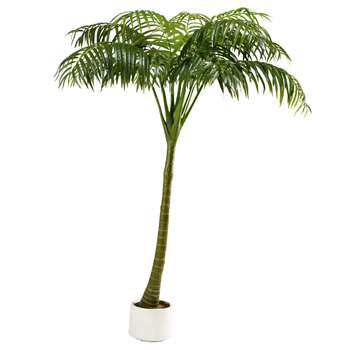 OASIS Artificial Palm Tree (H210 x W154 x D145cm)