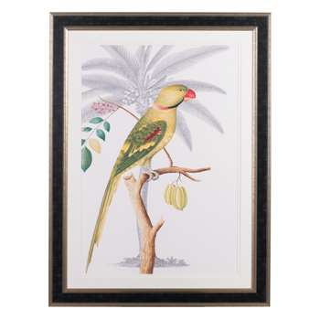Parakeet and Coconut Palm (112 x 84cm)