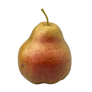 Pear - Large (15 x 10cm)