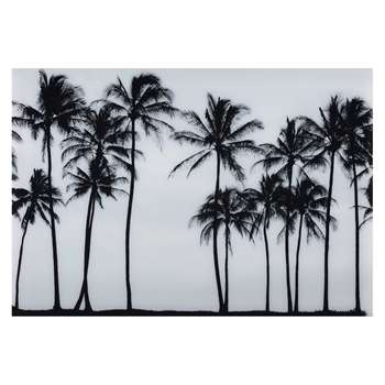 SAO PAULO Plexiglas Palm Tree Photo Print (110 x 160cm)