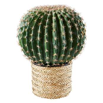 TEODORA Seagrass Cactus Garden Accessory (45.5 x 34.5cm)
