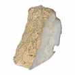 A by Amara - Gold Fossil Object (H12 x W8.5cm)